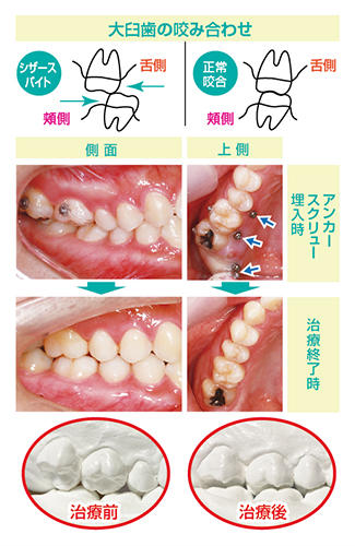 cms1580954772.jpg