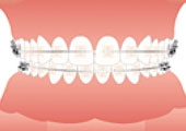 20120309_2.jpg