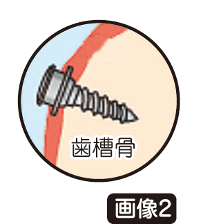 綱引き２.jpg